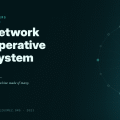 Network Operative System